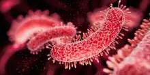 Nasce il primo virus artificiale che attacca i batteri killer