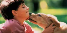 Chi cresce con un cane in casa respira meglio