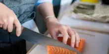 Negli Usa il salmone coltivato in laboratorio servito al ristorante, ma non ovunque