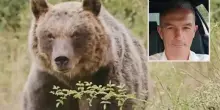 Orsa Amarena uccisa in Abruzzo: uomo accusato è stato rinviato a giudizio, 48 parti civili