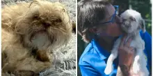 L’incredibile trasformazione del cane Elphie, intrappolato nell’incuria umana coi suoi cuccioli