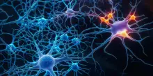 Sclerosi multipla: quale farmaco controlla meglio le ricadute?