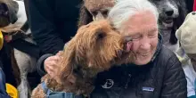 Jane Goodall: “Il mio animale preferito? Il cane, perché lo scimpanzé è troppo simile all’uomo”