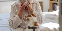 Un addio inaspettato: la storia di Oli, il cane di famiglia allontanato dopo 15 anni d’amore
