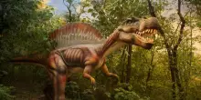 Le prime vittime delle zanzare? I dinosauri