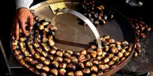 Tra tartufi, funghi e castagne, i profumi d’autunno invadono città e borghi