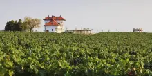 Vendite in crescita e più di 500 cantine: la Romania mette in vetrina i propri vini