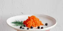 Dopo la carne, sulle nostre tavole anche il pesce coltivato in laboratorio
