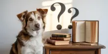 Metti alla prova la tua conoscenza: quanto ne sai sull’educazione e socializzazione del cane?