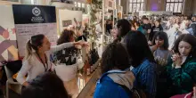 Cibo e fake news, la parola ai nutrizionisti con l’ironia di Giulia Biondi e Gianluca Citino