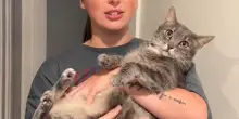 Vorrebbe abbracciare il suo gatto, ma Signor Nub non è della stessa idea: la sua reazione è iconica
