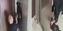 Un cane rimane impigliato nell’ascensore, un musicista lo libera e gli salva la vita con la Rcp