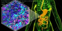Tumore gastrico, con la ‘combo’ immuno-chemioterapia prima e dopo la chirurgia si vive più a lungo