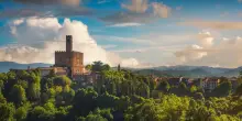 Casentino, dove il Pinot Nero riscrive la geografia del vino toscano