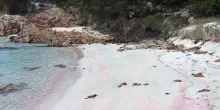Sbarcano sulla spiaggia rosa a Budelli, multati due turisti