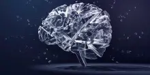 Ictus, giornata mondiale: la scienza spiega prevenzione e terapie del futuro