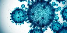 Influenza, i primi dati: più di 420 mila casi in una settimana