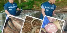 Carne di cervo, cinghiale, trote o salumi scaduti anche da 20 anni: i controlli dei Nas in Appennino