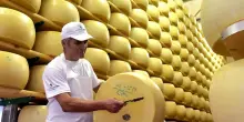 Dazi, Trump fa lo sconto al Parmigiano Reggiano. Ma arriverà agli americani a 55 dollari al chilo