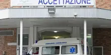 Pitbull aggrediscono una bambina e sua nonna vicino a Agliana