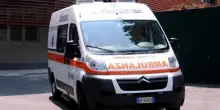 Morsa al volto da un rottweiler, grave donna di 50 anni