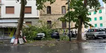 Temporali in Toscana, allerta gialla fino a domani: 20.000 fulmini, alberi caduti e strade allagate