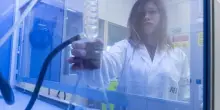 Bilancio di Rina, i ricavi nel primo trimestre salgono a 235 milioni