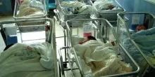 Giovane mamma scappa dall’ospedale con la figlia appena partorita ma destinata all’adozione