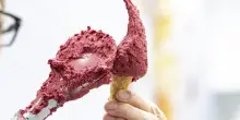 A 7 anni esce di casa da solo e prende un treno per andare nella sua gelateria preferita: ritrovato