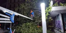 Dopo il nubifragio a Milano feriti due operai che stavano potando gli alberi caduti