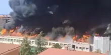 Viterbo, incendio all’università della Tuscia: fiamme nella facoltà di Agraria, edifici evacuati