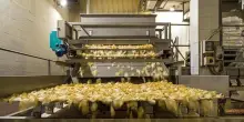 Crik Crok a rischio chiusura: dalle Puff alle patatine al lime, ecco cosa produce l’impianto