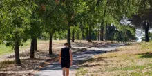 Stuprata nel parco, shock a Roma. “Se provi a gridare ti taglio la gola”