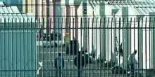 Decreto flussi, giudice di Lecce: “Presunta incostituzionalità”