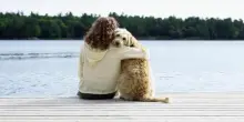 Pet food, in Italia il giro d'affari supera i 3,1 miliardi di euro nel 2024
