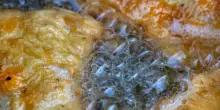 "Foodish" di Joe Bastianich: con la frittura di mare Federico Teresi batte tutti