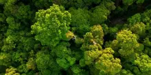 FederBio, un milione di specie viventi è a rischio estinzione