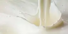 Moregrana, Grana Padano presenta i risultati del progetto