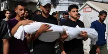 Israele, news da Gaza. Media: “Hamas ha accettato la tregua proposta dagli Usa”. Witkoff smentisce