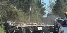 Maxi-sciame di api terrorizza gli Usa: si ribalta camion che trasportava 250 milioni di insetti