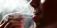 Sigarette e svapo, Bat torna a brillare