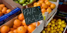 Fairtrade Italia: cresce l’economia sostenibile e le aziende corrono verso un futuro più equo