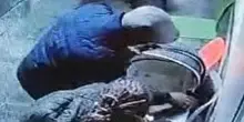 Neonata rapita a Cosenza, chiesto il giudizio immediato per Rosa Vespa