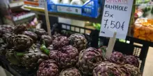 Gli agricoltori: “Un colpo da ko per il nostro cibo”