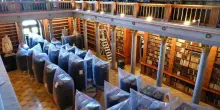Ungheria, un’infestazione di scarafaggi mette a rischio la più antica biblioteca del Paese