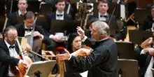 È bufera su Gergiev a Caserta Giuli: “La propaganda non è arte”
