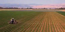 Produzione agricola e ittica +14% in dieci anni