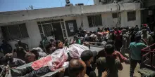 Israele – Hamas, le news del 21 luglio. L'Italia e altri 24 Paesi: “La guerra a Gaza deve finire ora”