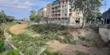 Firenze, per l’argine più sicuro abbattuti sedici alberi lungo il Mugnone