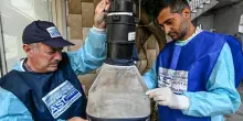 Dal Lazio alla Campania sale l’allarme West Nile. Altri due morti per il virus
